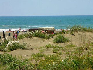 CAMPING INTERNAZ. DI CASTELFUSANO