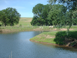 AGRITURISMO FRATTAVECCHIA