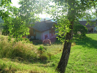 AGRITUR MASO PRA' CAVAI