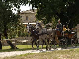 AGRITURISMO IL FELCINO